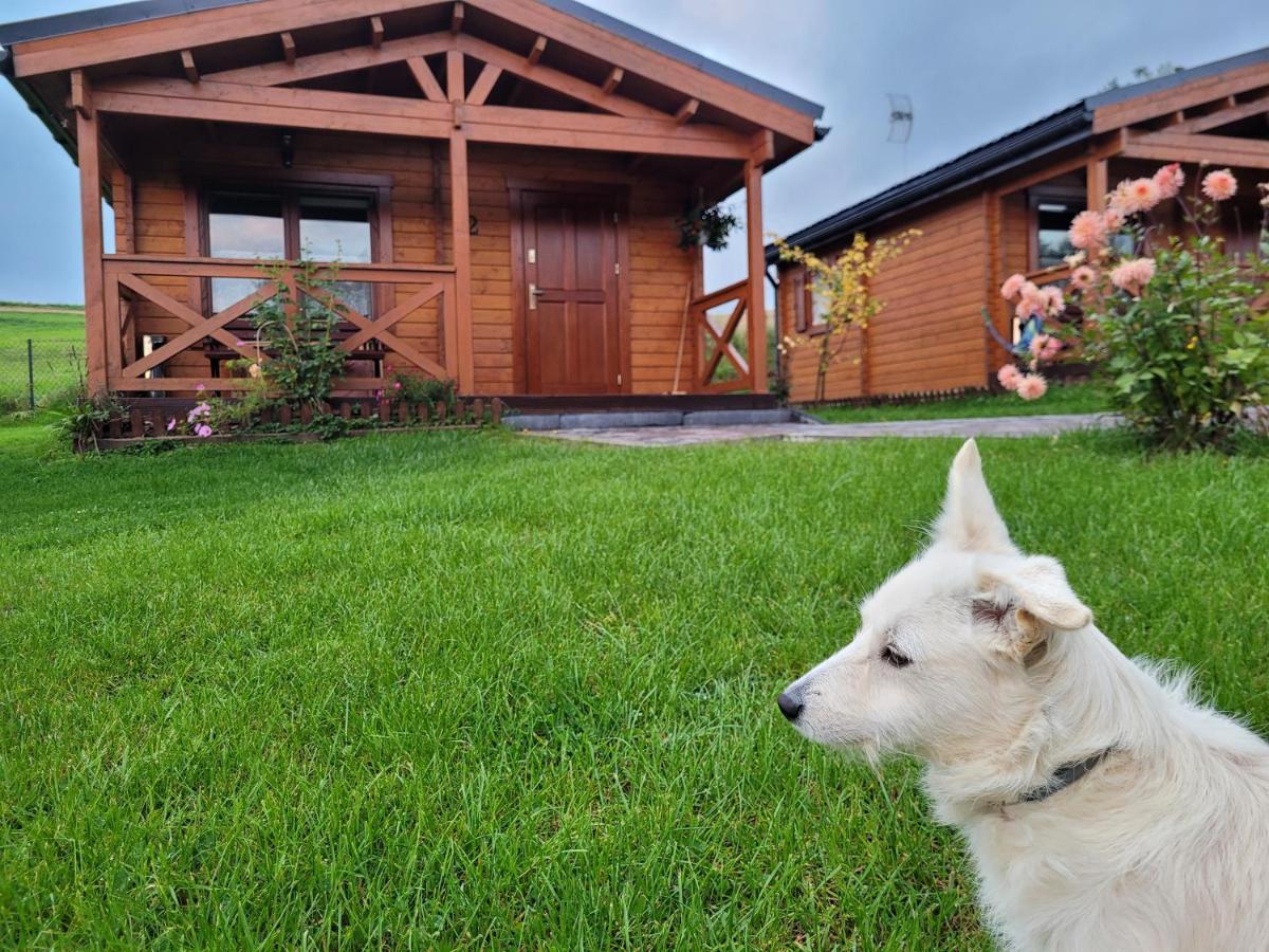 Villa Domki Pod Lasem à Rokiciny Podhalanskie Extérieur photo