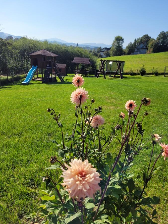 Villa Domki Pod Lasem à Rokiciny Podhalanskie Extérieur photo