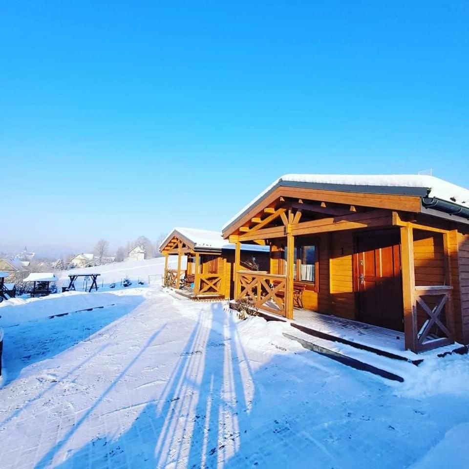 Villa Domki Pod Lasem à Rokiciny Podhalanskie Extérieur photo